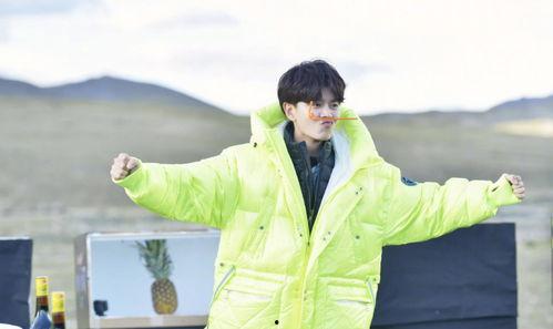 任嘉伦吃瓜娱乐节目,揭秘明星幕后趣事